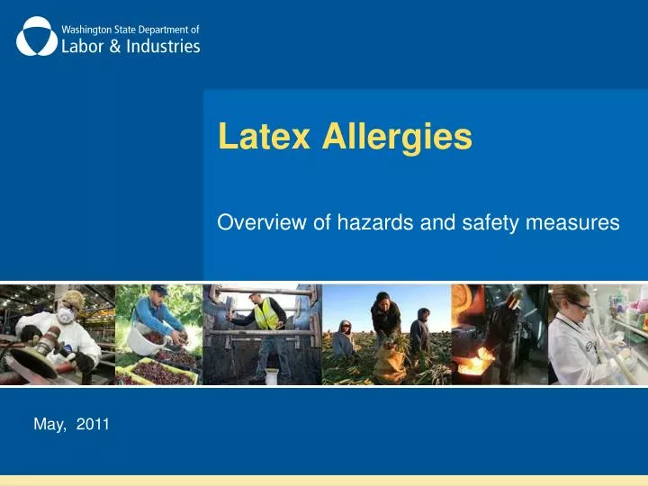 PPT Latex Allergies PowerPoint Presentation, free download ID307804