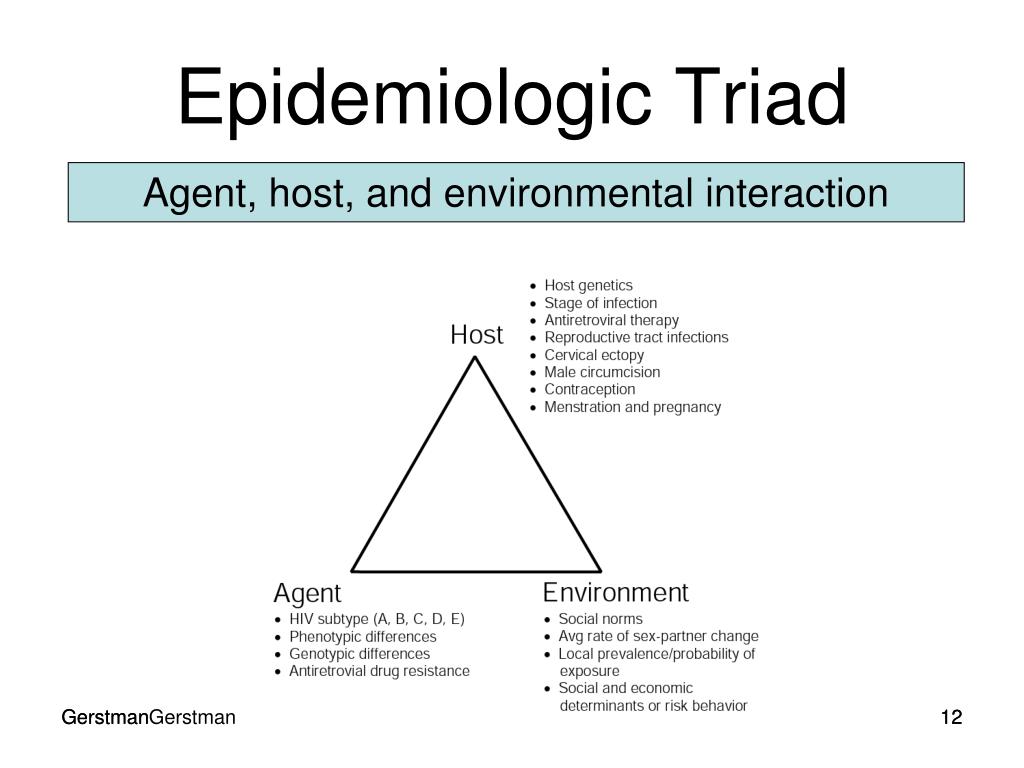 PPT Epidemiology PowerPoint Presentation Free Download ID 308011