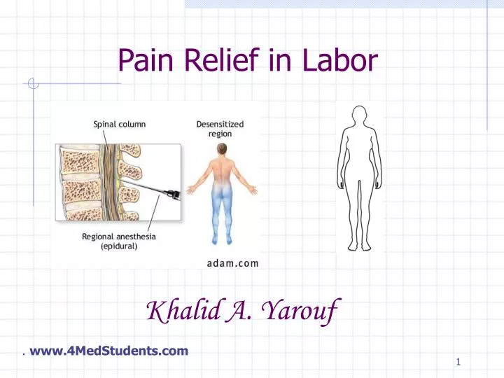 PPT Pain Relief in Labor PowerPoint Presentation ID308134