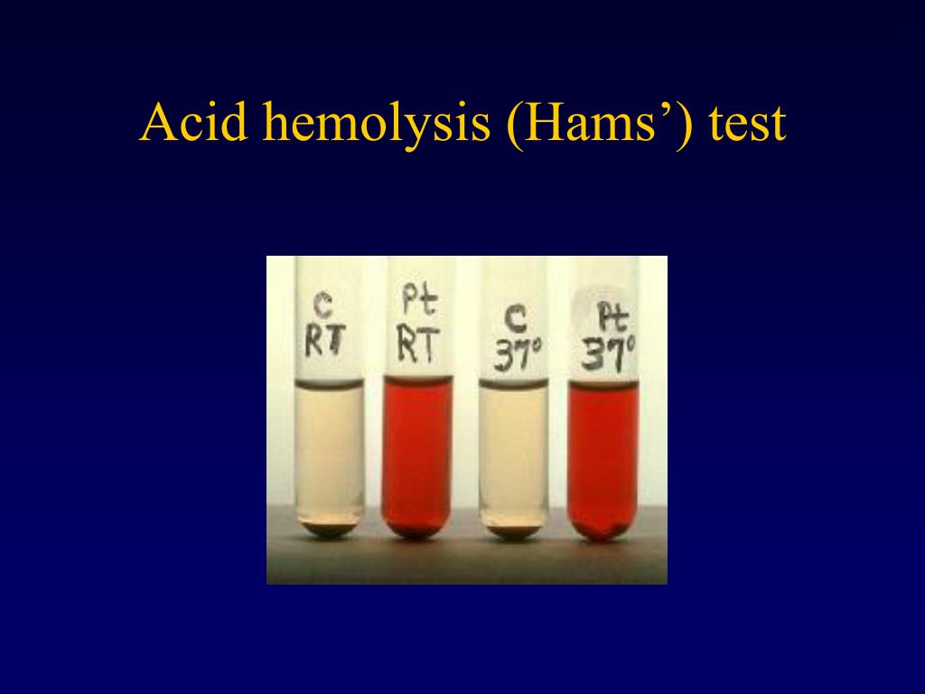 Testing effect. Acid Test. Hemolysis.