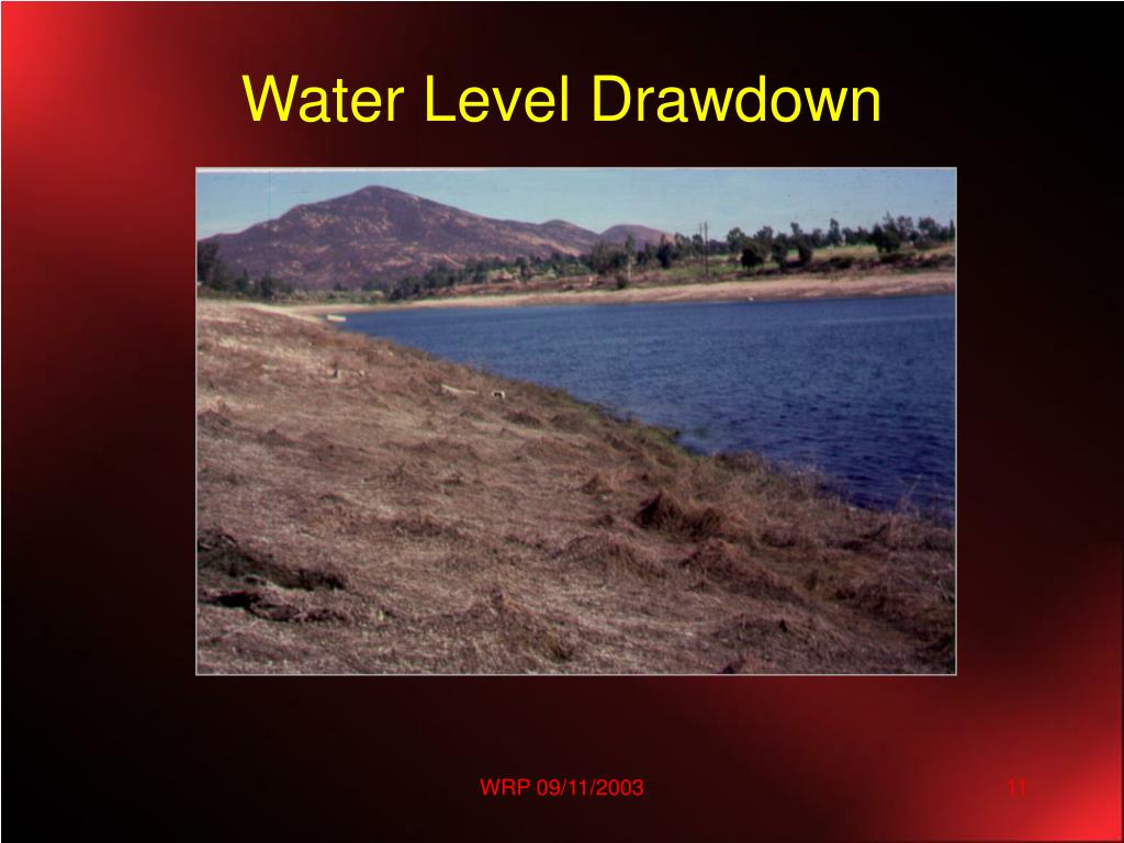 PPT Success Story Eradication of Hydrilla at Lake Murray ( and