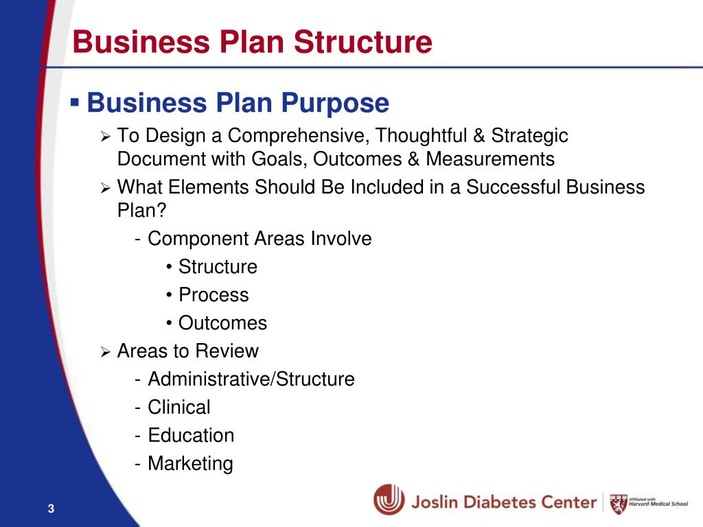 business plan structure example