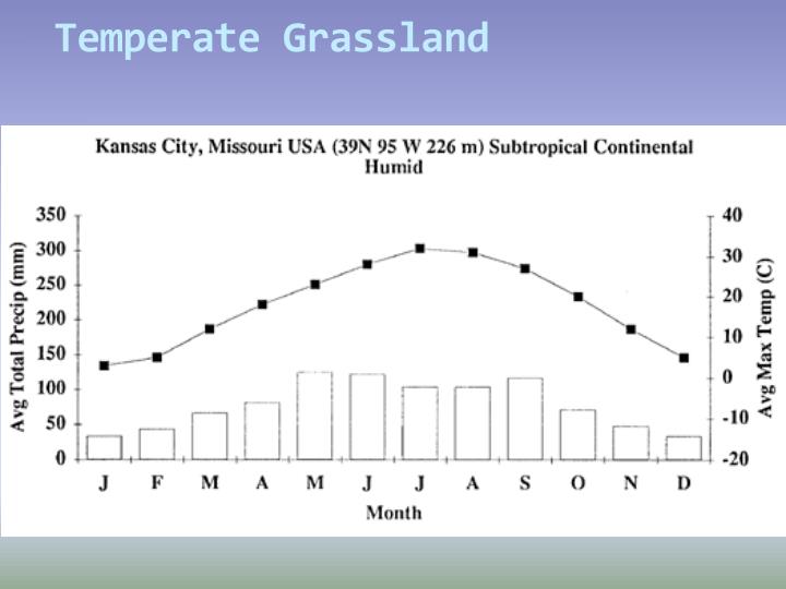 PPT Terrestrial Biomes PowerPoint Presentation ID309308