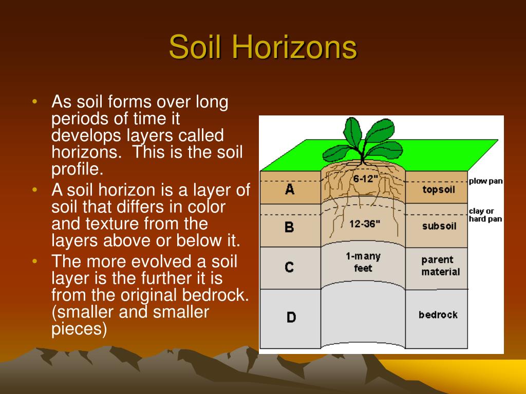 distinct soil horizon definition