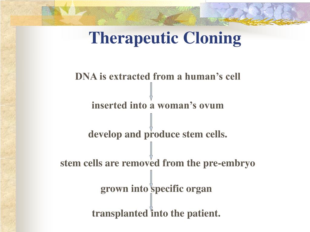 therapeutic cloning essay