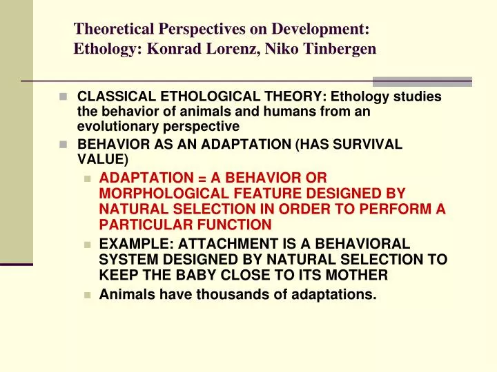 PPT - Theoretical Perspectives on Development: Ethology: Konrad Lorenz, Niko  Tinbergen PowerPoint Presentation - ID:310771