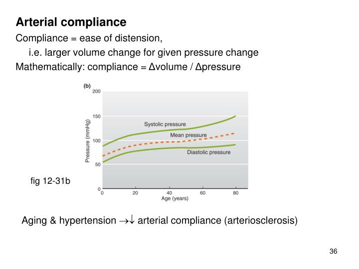 Vestibular evoked myogenic potentials test.