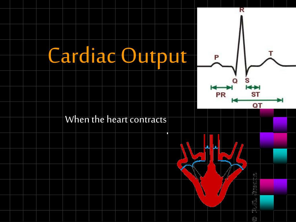 Ppt Cardiac Output Powerpoint Presentation Free Download Id311316