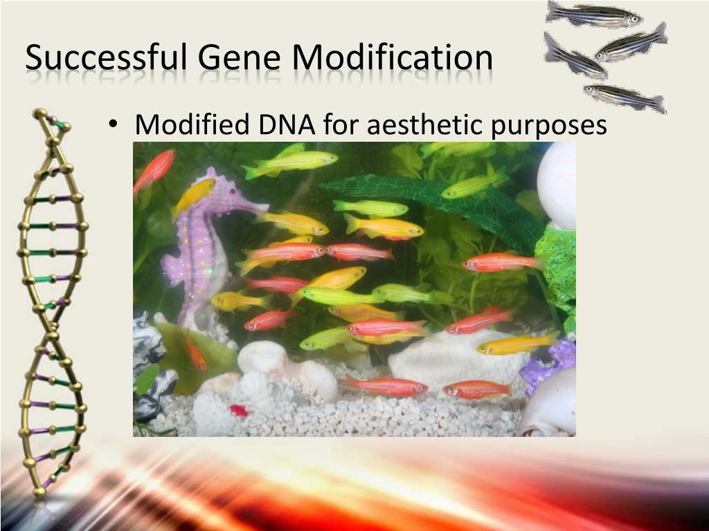 Ppt Gene And Antisense Therapy Powerpoint Presentation Free Download