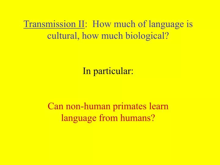 do non human primates have culture Do non human primate species have culture ex of japanese macaque monkey new from anth 1001 at lsu. do non human primates have culture Do non human primate species have culture ex of japanese macaque monkey new from anth 1001 at lsu.