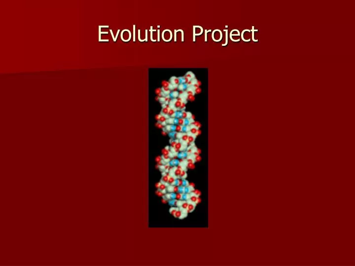 PPT - Evolution Project PowerPoint Presentation, free download - ID:312291