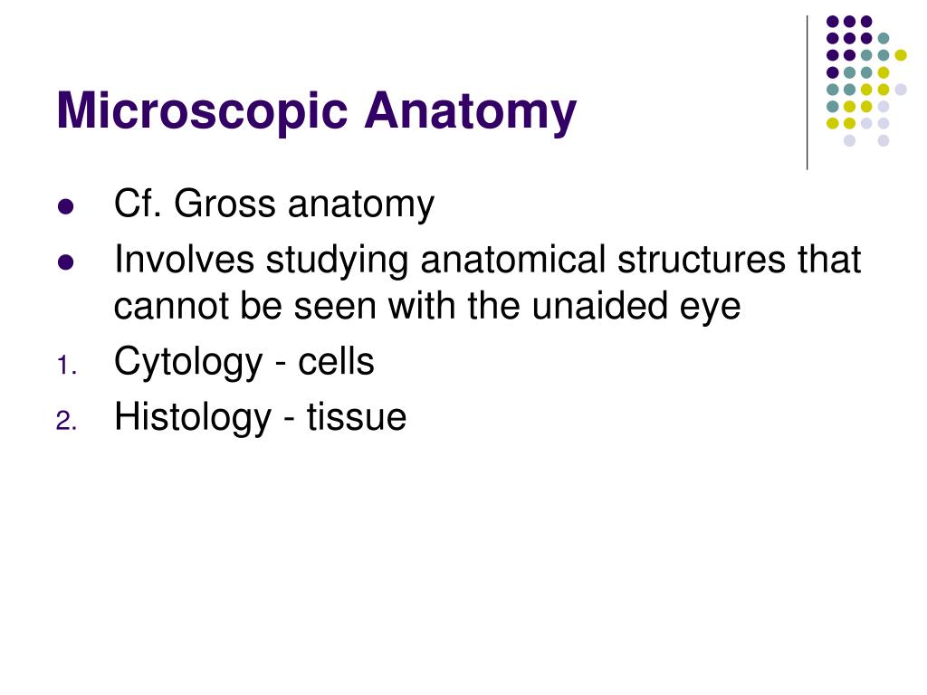 Biology 241: Human Anatomy and Physiology 1 PowerPoint ... Biology Diagrams