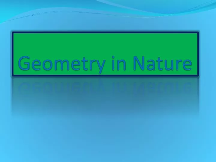 geometry in nature n.