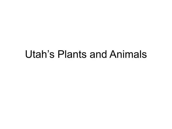 utah s plants and animals n.