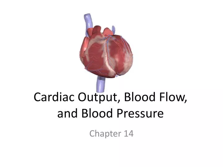 cardiac output blood flow and blood pressure n.