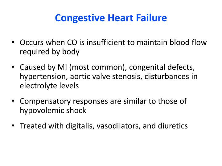 PPT - Cardiac Output, Blood Flow, and Blood Pressure PowerPoint ...