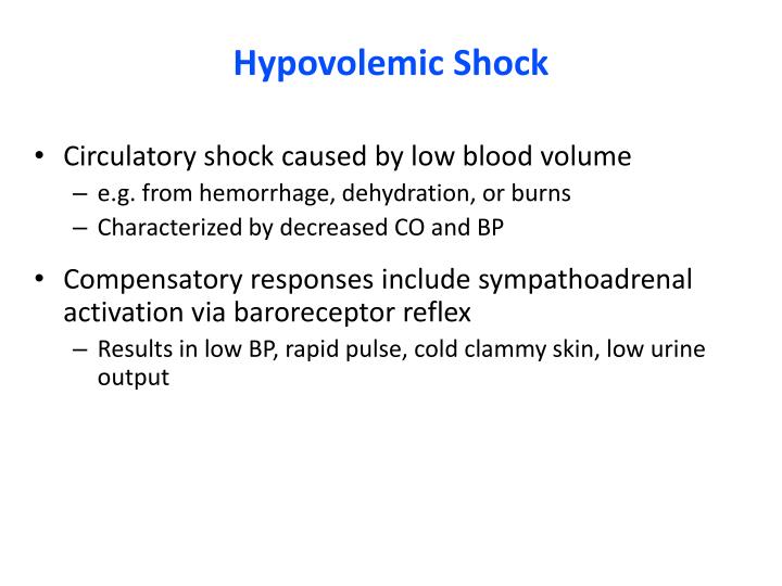 PPT - Cardiac Output, Blood Flow, and Blood Pressure PowerPoint ...