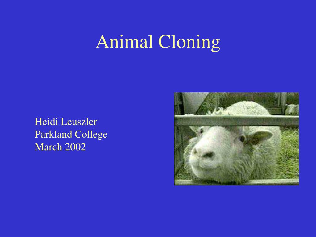 research on animal cloning