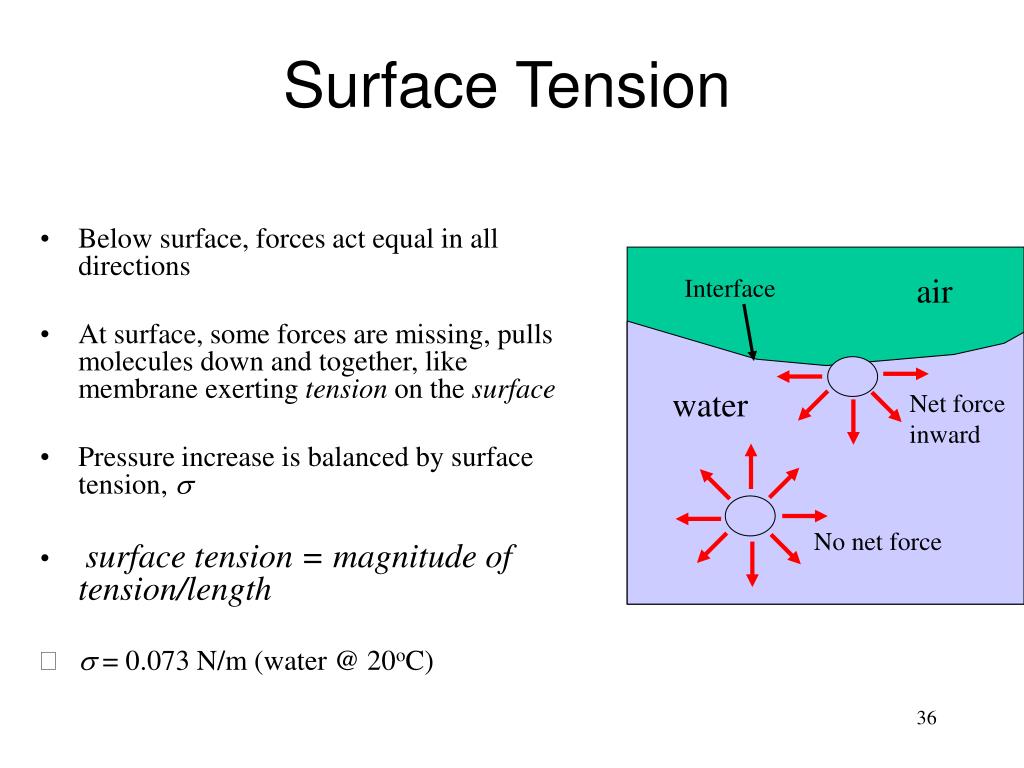 Mechanical Properties Of Fluids Class Surface Tension Based On | My XXX ...