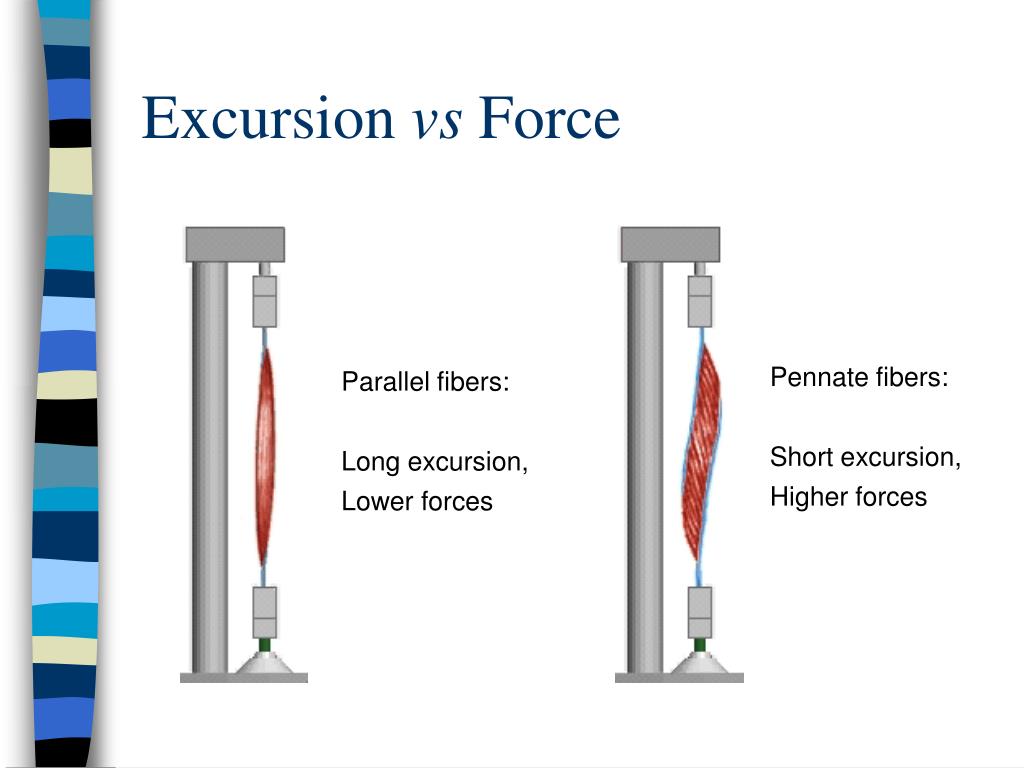 excursion force definition