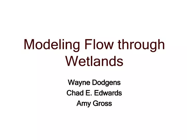 modeling flow through wetlands n.