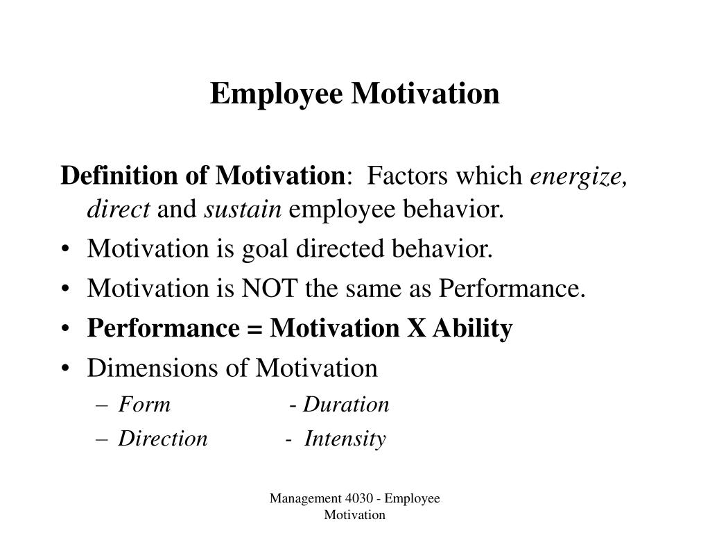 what is employee motivation essay