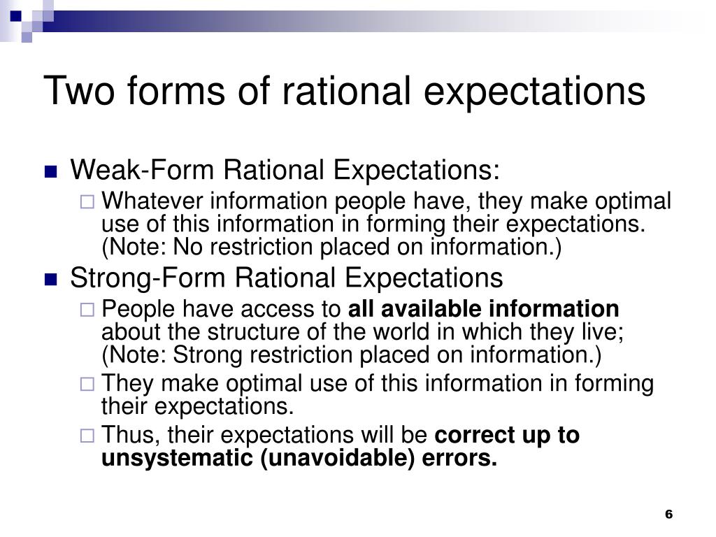critically examine rational expectation hypothesis