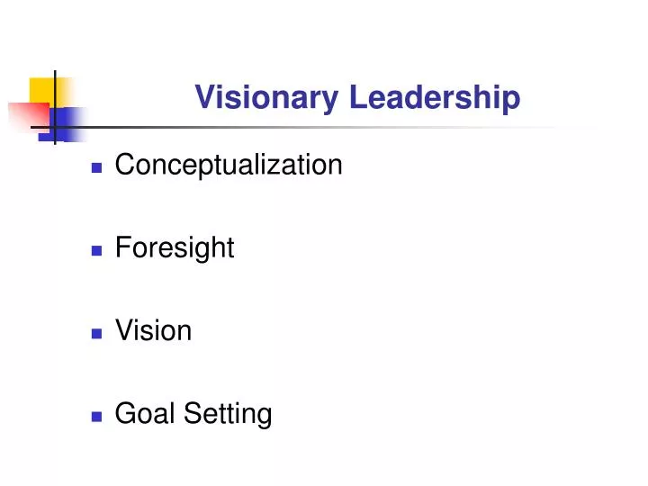 visionary leadership n.