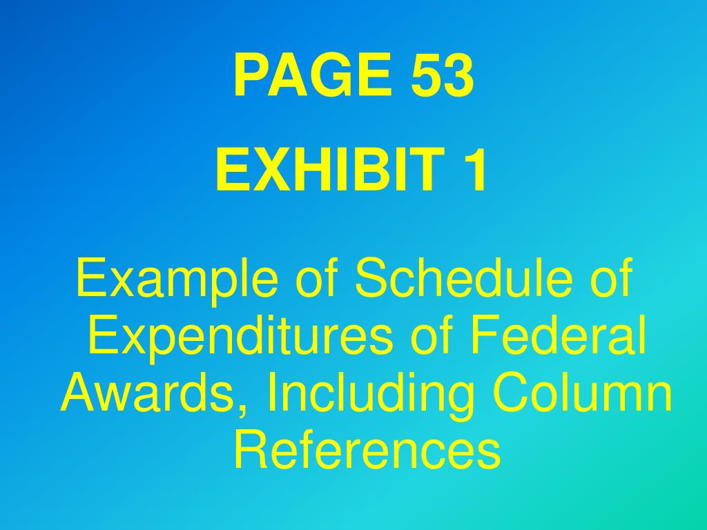 PPT SCHEDULE OF EXPENDITURES OF FEDERAL AWARDS (SEFA) & SUPPLEMENTARY