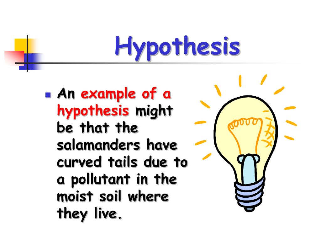 science hypothesis process