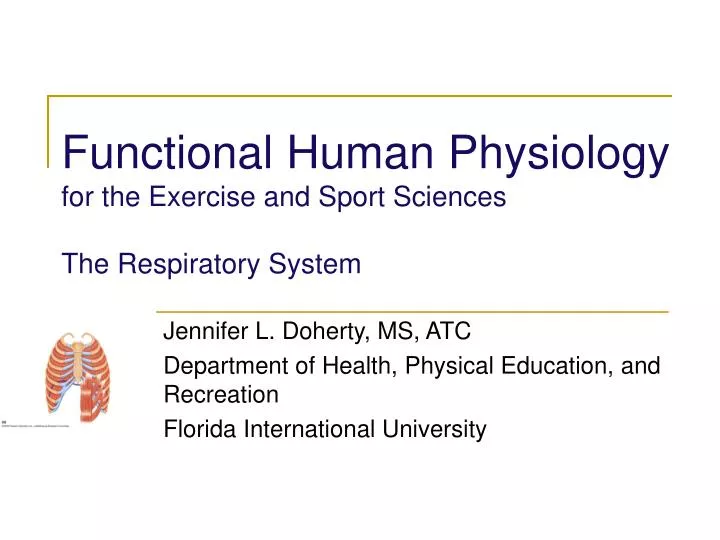 functional human physiology for the exercise and sport sciences the respiratory system n.