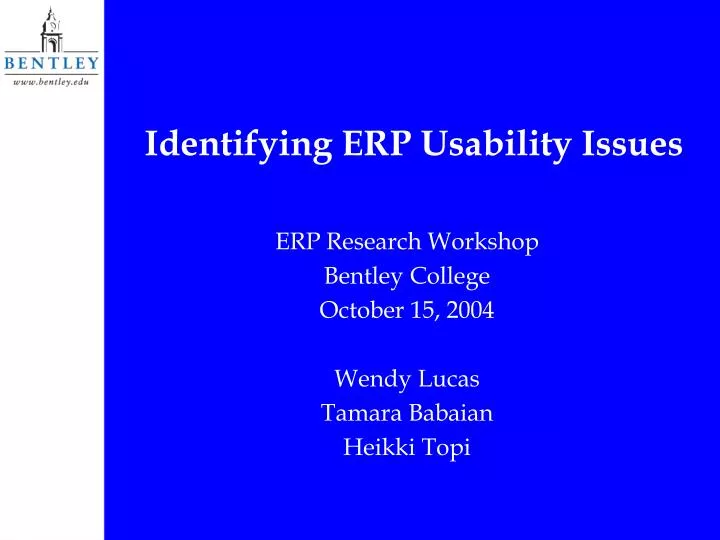 identifying erp usability issues n.
