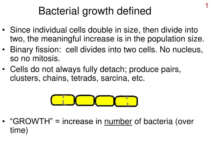 PPT Bacterial growth defined PowerPoint Presentation, free download