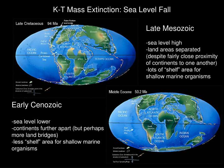 PPT - Cretaceous Calamity: The Cretaceous-Tertiary Mass Extinction (and other mass extinctions