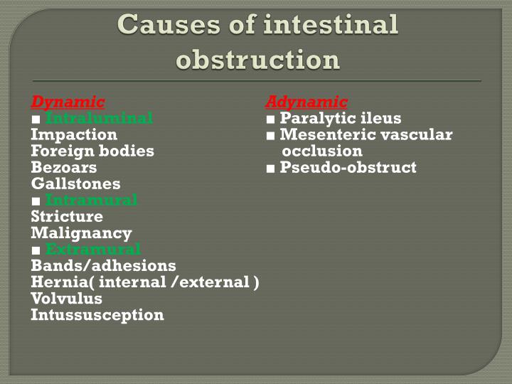 PPT - Intestinal obstruction PowerPoint Presentation - ID:317919