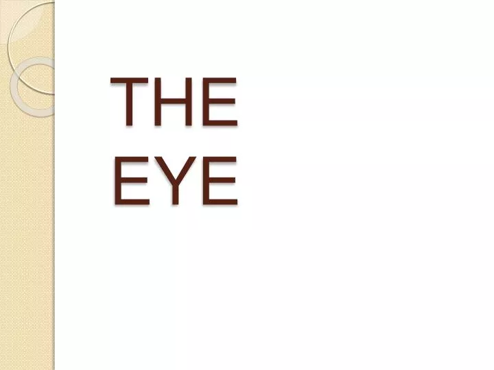 the eye n.