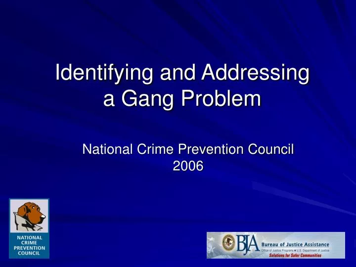 identifying and addressing a gang problem n.