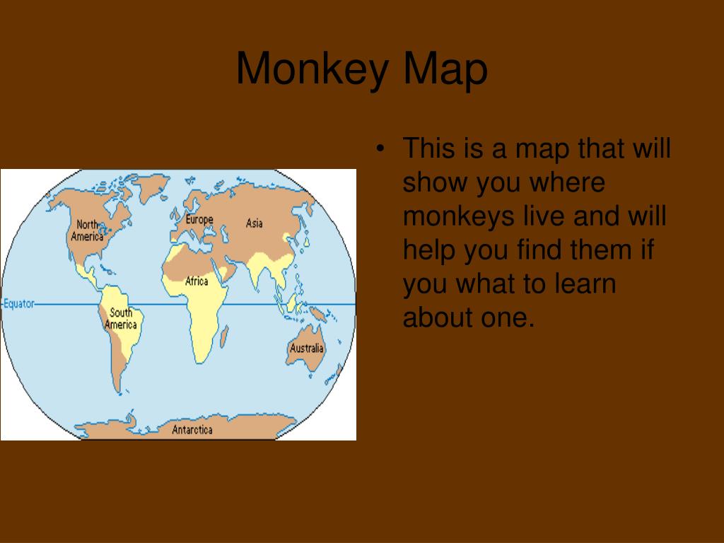 Monkey Map L 