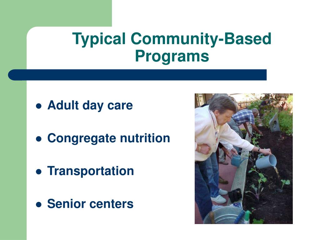 Community Based Programmes PPT - Services to Maintain Independent Living PowerPoint Presentation ...