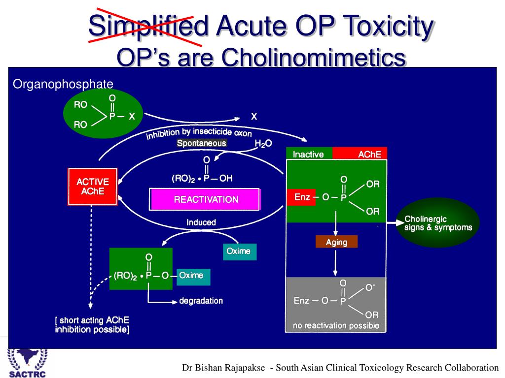 organophosphate poisoning ppt