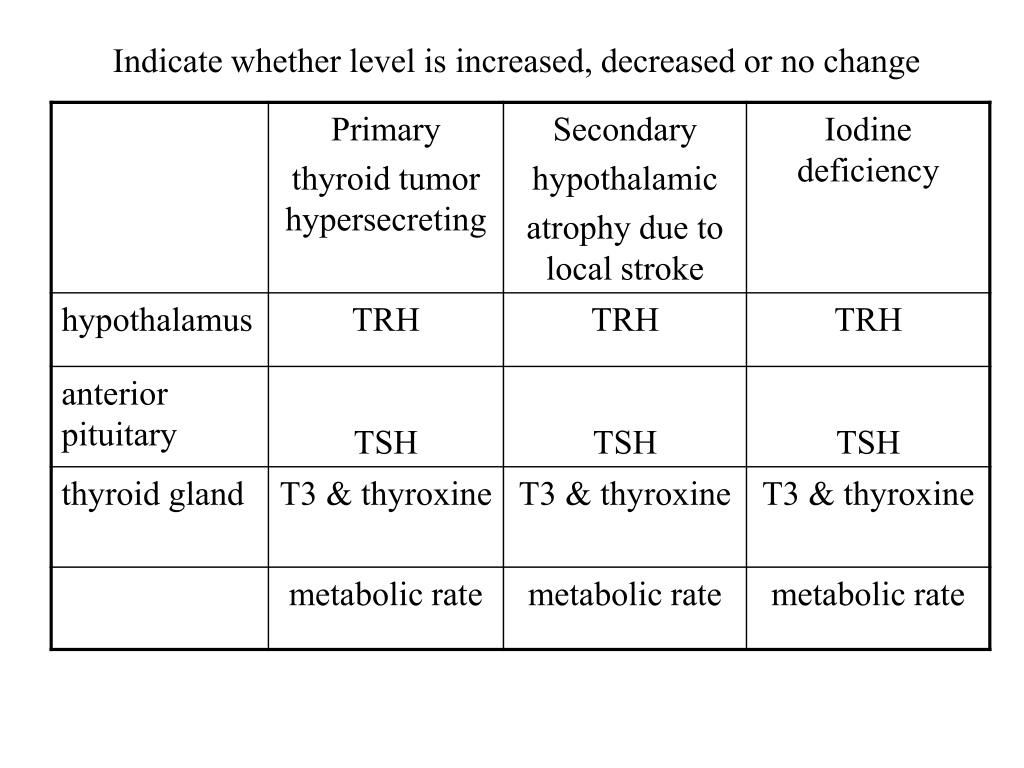 PPT - Endocrine control of osmolarity Antidiuretic hormone (ADH ...