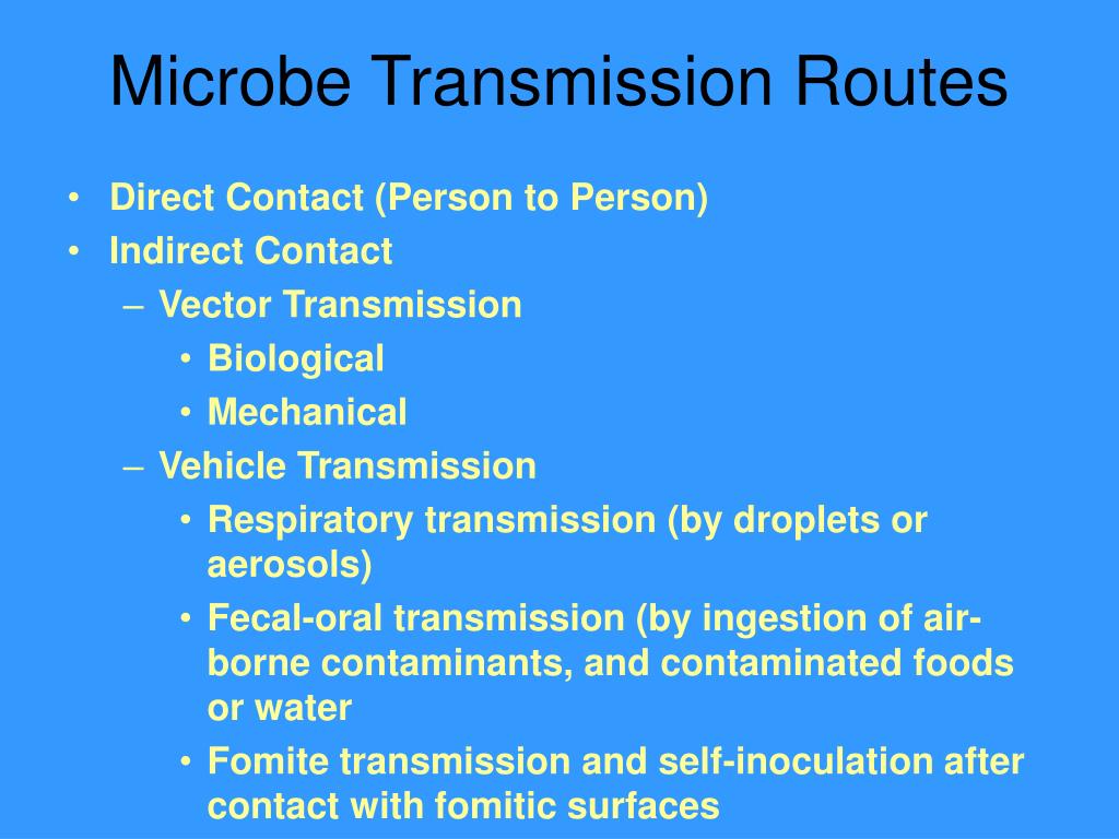microbiology experiment 11 fomite transmission Transmission electron micrograph of the return to menu for lab 11 microbiology laboratory manual by gary e kaiser, phd, professor of microbiology. microbiology experiment 11 fomite transmission Transmission electron micrograph of the return to menu for lab 11 microbiology laboratory manual by gary e kaiser, phd, professor of microbiology.