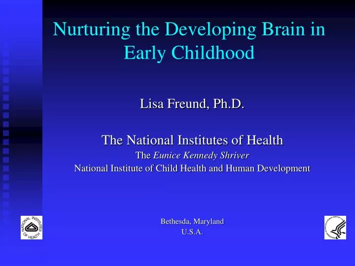 nurturing the developing brain in early childhood n.
