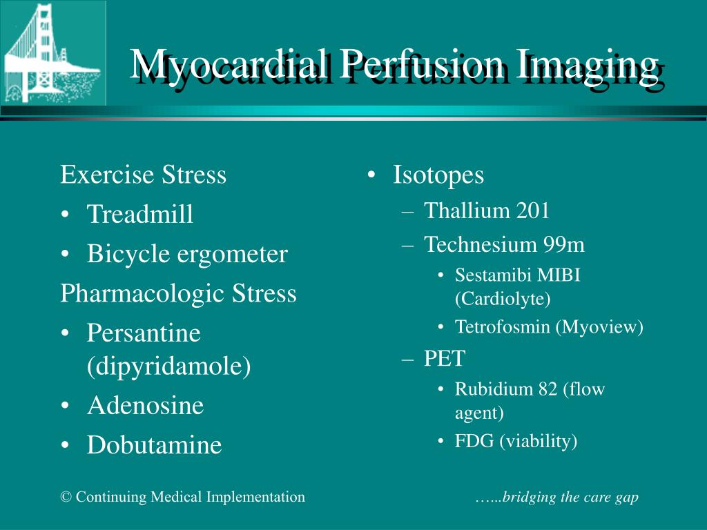 what is persantine mibi stress test