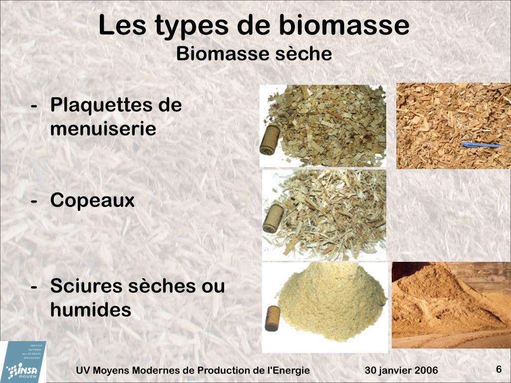 Sciures et écorces - Biomasse Normandie