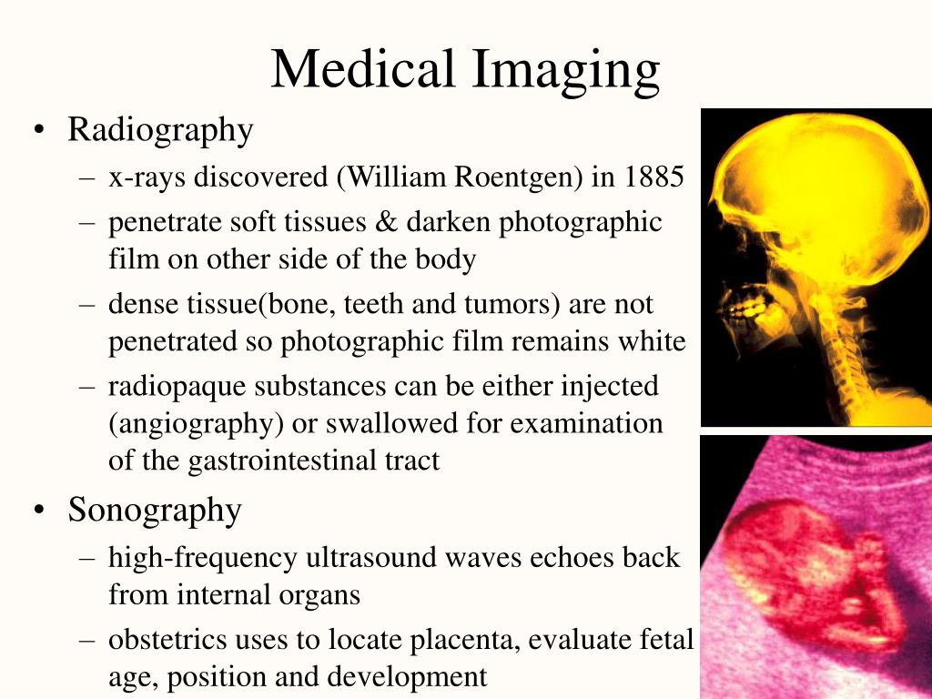 Chapter 1 Major Themes of Anatomy Physiology PowerPoint Biology Diagrams