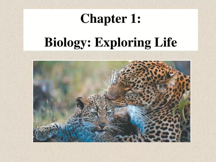 PPT Chapter 1 Biology Exploring Life PowerPoint Presentation, free