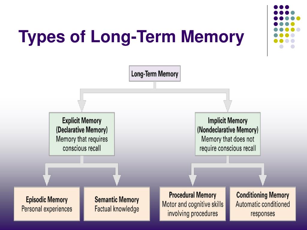 PPT - Memory PowerPoint Presentation, free download - ID:326441