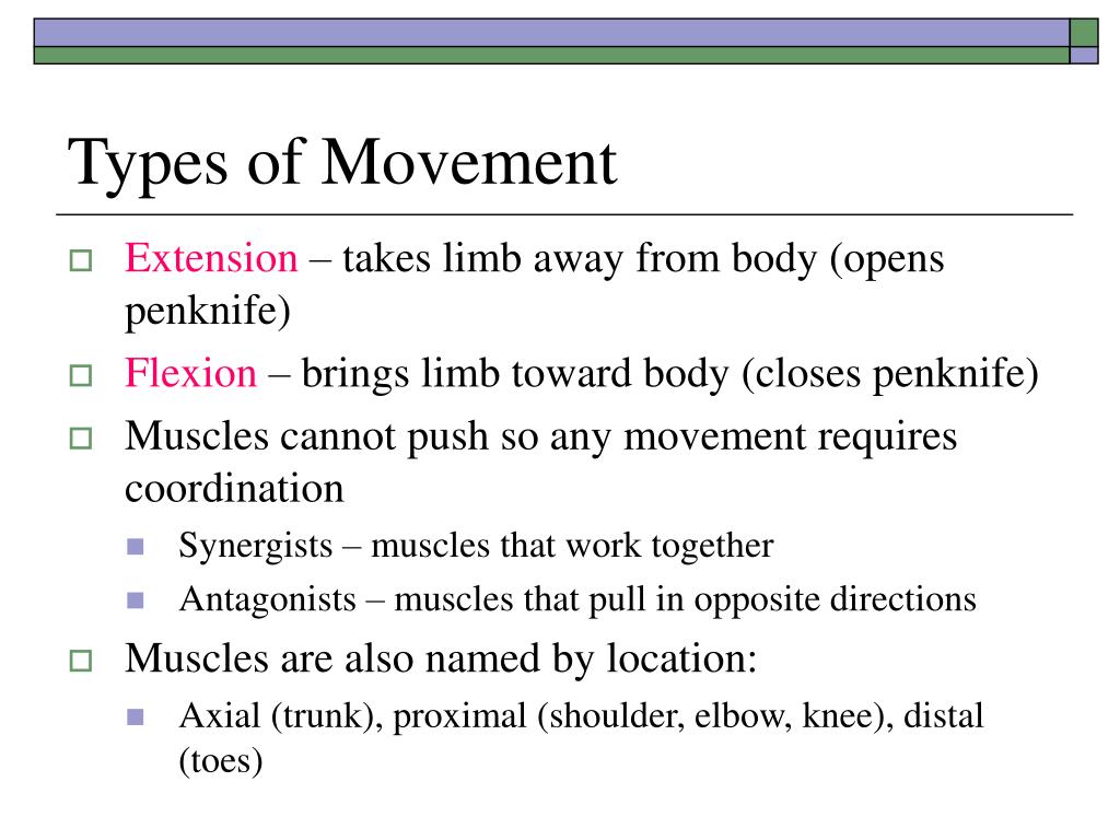PPT - Spinal Control of Movement PowerPoint Presentation, free download