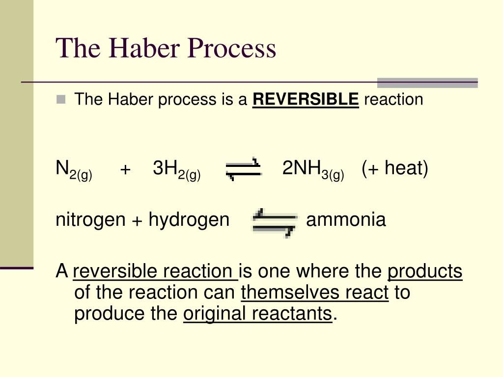 haber process assignment